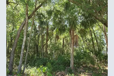 7075 W Crestview Lane, Crystal River, FL 34429 - Photo 3