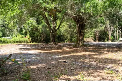 3482 County Road 507, Wildwood, FL 34785 - Photo 3