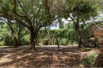 3482 County Road 507, Wildwood, FL 34785 - Photo 9