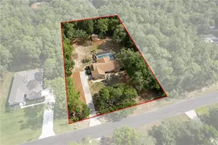 807 W National St, Hernando, FL 34442 - Photo 65