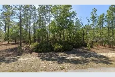 10584 N Inez Terrace, Dunnellon, FL 34433 - Photo 1