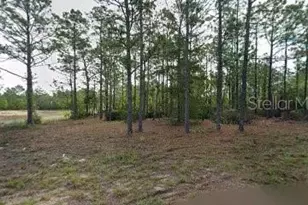 10599 N Caldera Ave, Dunnellon, FL 34433 - Photo 1
