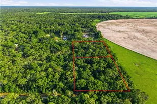 9291 NW 127th Pl, Chiefland, FL 32626 - Photo 71