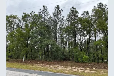 2905 W Sharpes Drive, Citrus Springs, FL 34433 - Photo 3