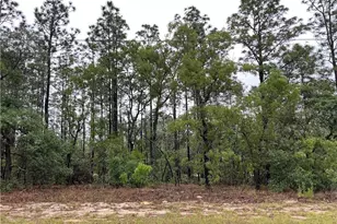 2905 W Sharpes Dr, Citrus Springs, FL 34433 - Photo 1