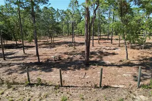 5563 W Osmond Ln, Dunnellon, FL 34433 - Photo 1