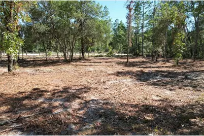 5563 W Osmond Lane, Dunnellon, FL 34433 - Photo 3