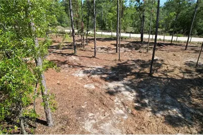 5563 W Osmond Lane, Dunnellon, FL 34433 - Photo 5