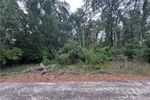 3638 E Lee Dr, Inverness, FL 34453 - Photo 1