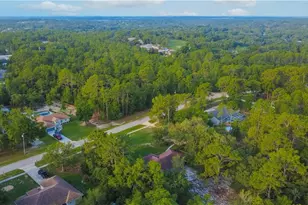 2925 W Birds Nest Dr, Beverly Hills, FL 34465 - Photo 43