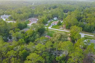 2925 W Birds Nest Dr, Beverly Hills, FL 34465 - Photo 41