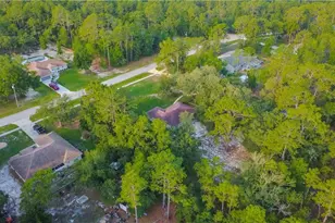 2925 W Birds Nest Dr, Beverly Hills, FL 34465 - Photo 39