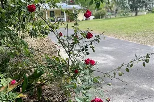 9433 S Great Oaks Dr, Floral City, FL 34436 - Photo 41