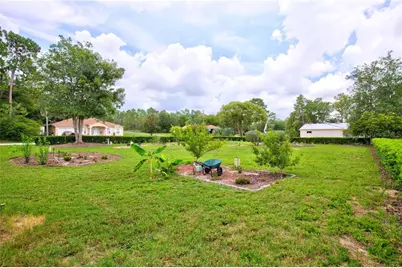 10848 N Dragonis Drive, Citrus Springs, FL 34433 - Photo 37