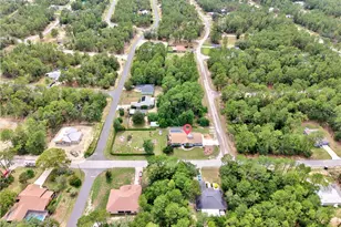 10848 N Dragonis Dr, Citrus Springs, FL 34433 - Photo 39