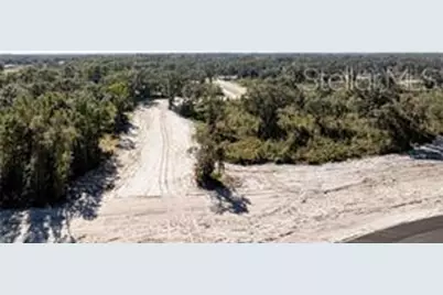 1485 Oxford Preserve Trail, Oxford, FL 34484 - Photo 17