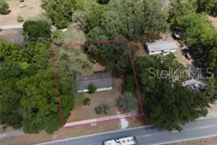 9701 E Warm Springs Ave, Coleman, FL 33521 - Photo 13