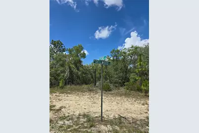 2942 W Dellwood Street, Dunnellon, FL 34433 - Photo 1