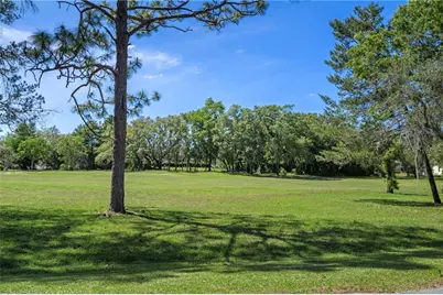12 Hackberry Drive, Homosassa, FL 34446 - Photo 71