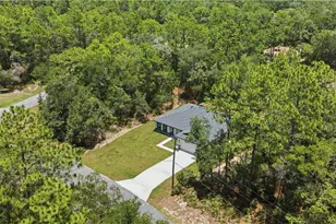10735 N Malva Way, Citrus Springs, FL 34434 - Photo 35