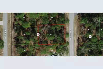 6536 N Springfield Terrace, Dunnellon, FL 34434 - Photo 1