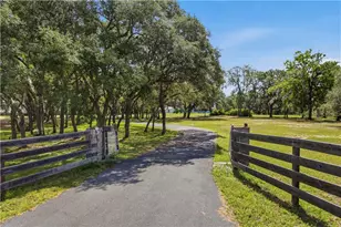 6175 S Canna Lily Ave, Homosassa, FL 34446 - Photo 35