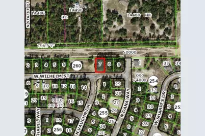 3131 W Wilhelm Street, Citrus Springs, FL 34433 - Photo 3