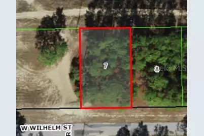 3131 W Wilhelm Street, Citrus Springs, FL 34433 - Photo 1
