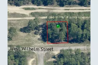 3131 W Wilhelm Street, Citrus Springs, FL 34433 - Photo 5