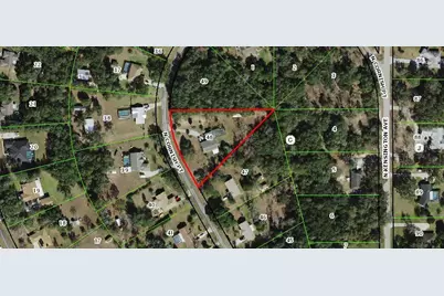 385 N Cornish Point, Lecanto, FL 34461 - Photo 69