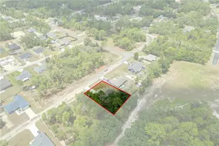 1619 W Lamplighter St, Dunnellon, FL 34434 - Photo 25