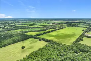 7352 SE 175 Ave, Morriston, FL 32668 - Photo 25