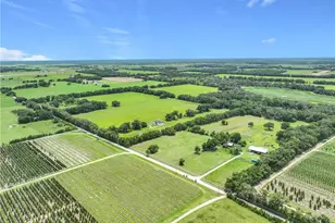 7352 SE 175 Ave, Morriston, FL 32668 - Photo 17