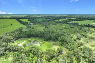 7352 SE 175 Ave, Morriston, FL 32668 - Photo 19