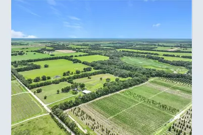 7352 SE 175th Avenue, Morriston, FL 32668 - Photo 15
