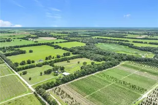 7352 SE 175 Ave, Morriston, FL 32668 - Photo 15
