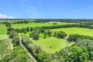 7352 SE 175 Ave, Morriston, FL 32668 - Photo 9