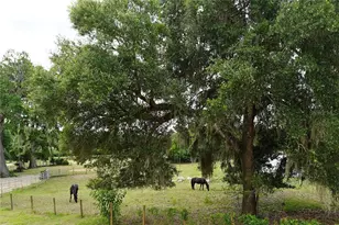 4450 E Windmill Dr, Inverness, FL 34453 - Photo 39