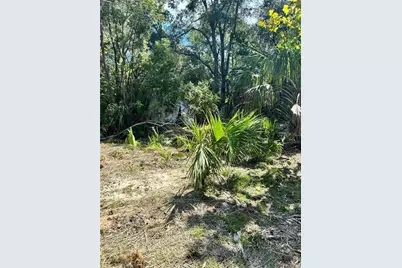 11335 N Ginny Lane Point, Inglis, FL 34449 - Photo 9