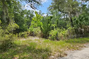 11335 N Ginny Lane Point, Inglis, FL 34449 - Photo 1