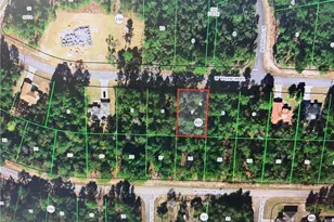 3328 W Talinum Pl, Citrus Springs, FL 34433 - Photo 1