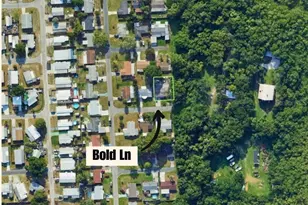 1650 Bold Ln, Holiday, FL 34691 - Photo 15