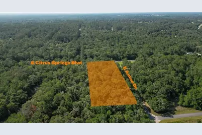 825 E Anton Drive, Citrus Springs, FL 34434 - Photo 3