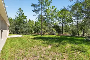 [Address not provided], Citrus Springs, FL 34433 - Photo 115