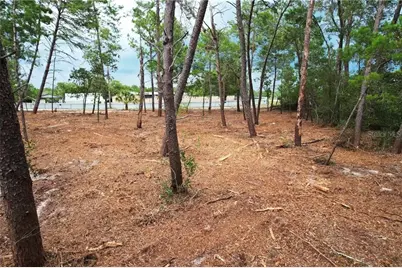 9530 N Timber Creek Terrace, Dunnellon, FL 34433 - Photo 3