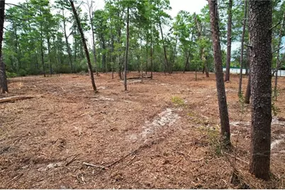 9530 N Timber Creek Terrace, Dunnellon, FL 34433 - Photo 5