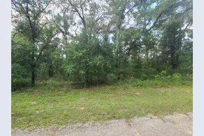 1823 E Derby Drive, Dunnellon, FL 34434 - Photo 3
