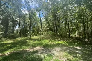 6594 N Gold Leaf Point, Dunnellon, FL 34433 - Photo 35