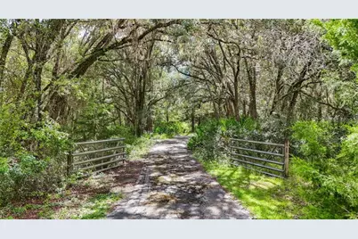 6594 N Gold Leaf Point, Dunnellon, FL 34433 - Photo 57