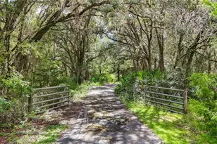 6594 N Gold Leaf Point, Dunnellon, FL 34433 - Photo 57